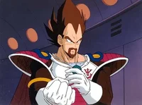 King Vegeta