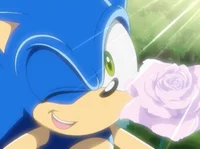Sonic x