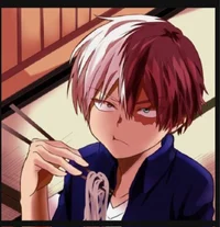 Shoto Todoroki