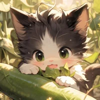 20 Little Kitten