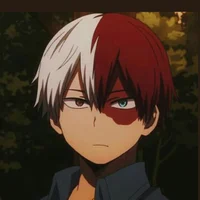Shoto Todoroki