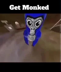 Gorillatag Animation