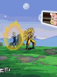 2nd Goku and Vegeta 