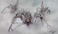 The Mist Spider
