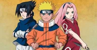 Team 7