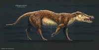 Pakicetus