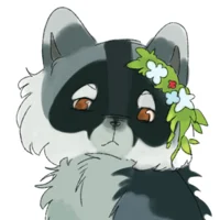 OC- RaccoonPaws