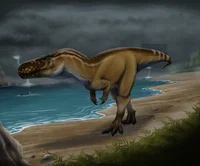 Female megalosaurus
