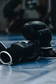 Boxing Career