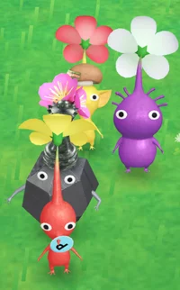 RRYP Pikmin
