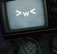 TV Woman