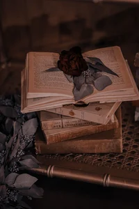 Rol-Humans vs Demons