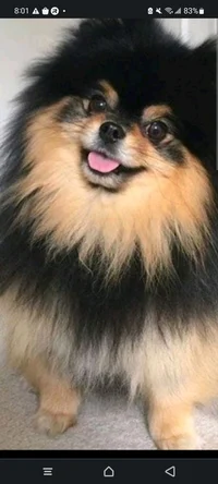 Yeontan
