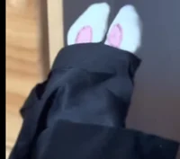 The Mistress of Sins