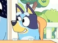 Bh or Bluey Heeler 