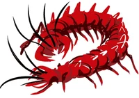 Red Centipede
