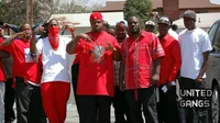 bloods gang