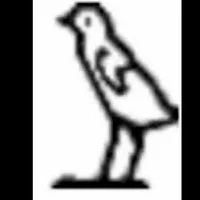 Bird From Egypt