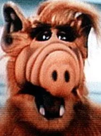 Alf Show Alf