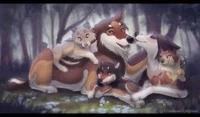 Wolf family 