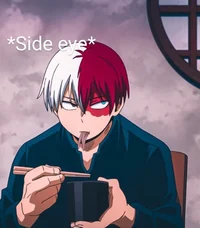 Shoto Todoroki 