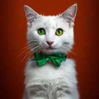 Bobby Anzaiela Mazie