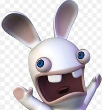 rabbid