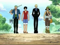 luffy crew