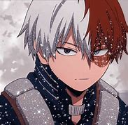 Shoto Todoroki