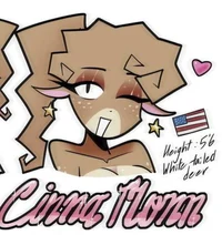 Cinna Momm
