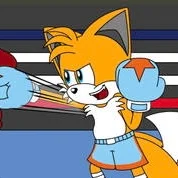 Pro Boxer Tails