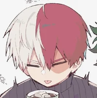 Shoto Todoroki 
