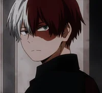 Shoto Todoroki