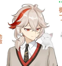 Kazuha agnist