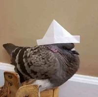 Elliot