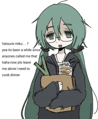 Retired Miku