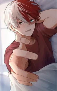 Shoto Todoroki