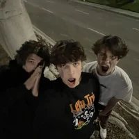 Sturniolo Triplets