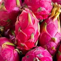 Dragon fruit