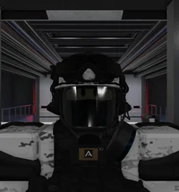 Async Security Guard