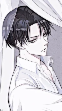 Levi ackerman 