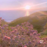 Hanako - Flower Lady