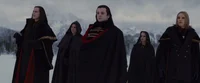 The Volturi Kings