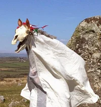 Mari Lwyd
