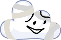 Bandaged Cloudy BFB