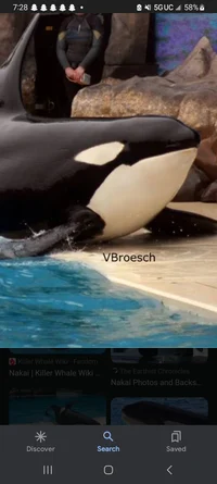 Nakai -killer whale-