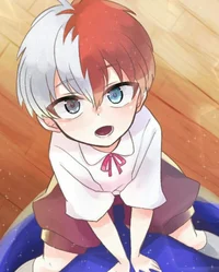 Shoto Todoroki 