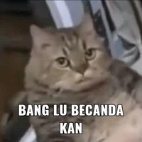 Noe