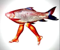 Fish With Legs