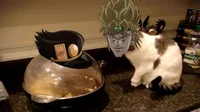 DIO your cat